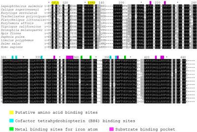 Phenylalanine Hydroxylase RNAi Knockdown Negatively Affects Larval Development, Molting and Swimming Performance of Salmon Lice